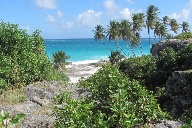 Scenic Barbados Coast To Coast Half-Day Tour - An In-Depth Look at the Coast to Coast Tour