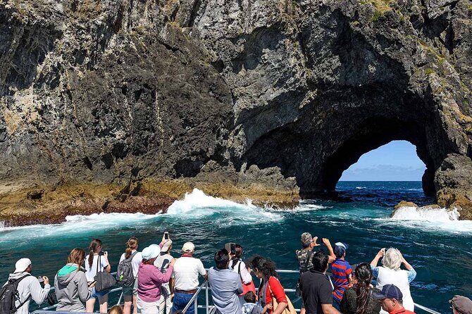 Scenic Bay of Islands Escape: Private Full-Day Tour from Auckland - What Does This Tour Offer for the Price?