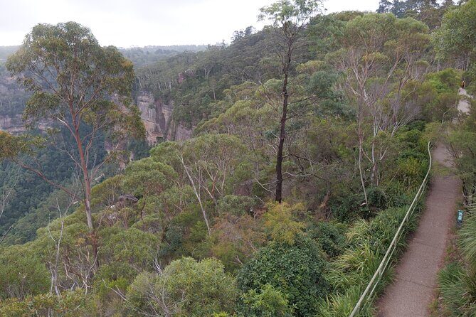 Scenic Blue Mountains 2-Day Shared Tour - Introduction: An Overview of the Blue Mountains Tour