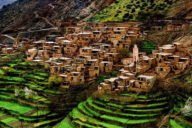 Scenic Camel Ride & Lunch by the Ourika River from Marrakech - Key Points