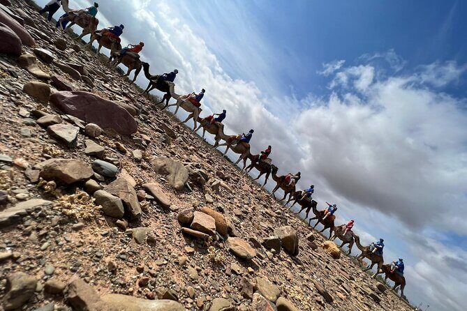 Scenic Camel Ride & Lunch by the Ourika River from Marrakech - Who Should Consider This Tour?