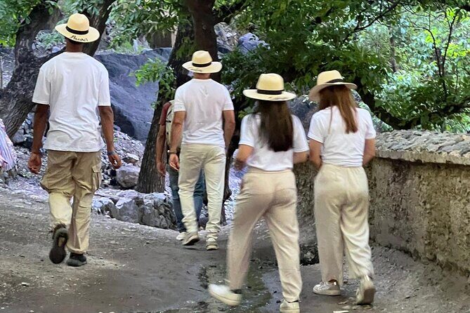 Scenic Camel Ride & Lunch by the Ourika River from Marrakech - The Sum Up