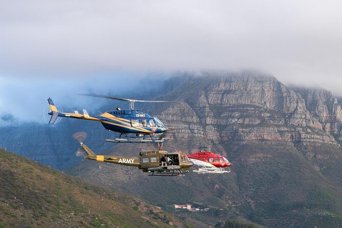 Scenic Cape Point Helicopter Tour from Cape Town - The Sum Up