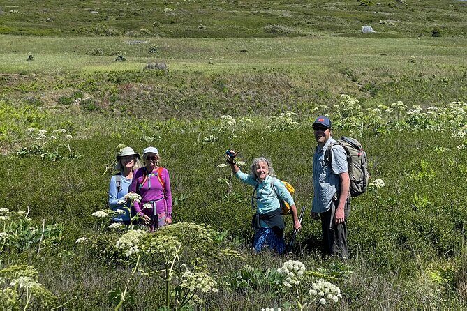 Scenic Coast and Wildlife Tour - Key Points