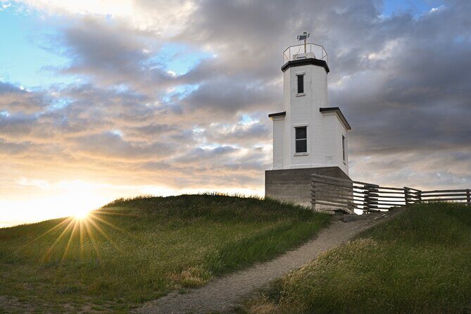 Scenic Coast and Wildlife Tour - An Introduction to the San Juan Islands’ Coastal Charm