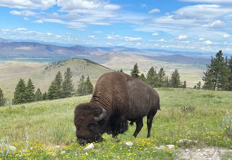 Scenic Driving Tour Flathead Lake and Bison Range - Exploring the Flathead Lake and Bison Range Tour in Detail