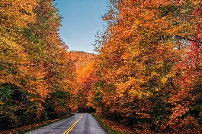 Scenic Driving Tour of the Blue Ridge Mountains - An Honest Breakdown of the Experience