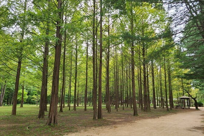 Scenic Escape: Nami Island, Garden of Morning Calm, and Rail Bike - A Closer Look at the Itinerary