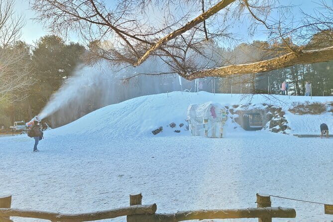 Scenic Escape: Nami Island, Garden of Morning Calm, and Rail Bike - Final Words