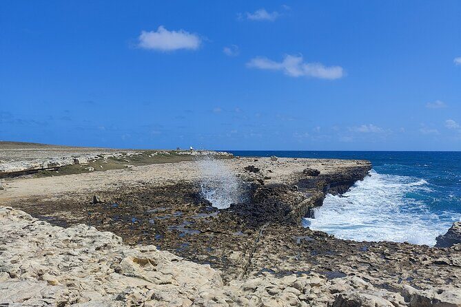 Scenic Full Day Tour of Antigua - Final Word