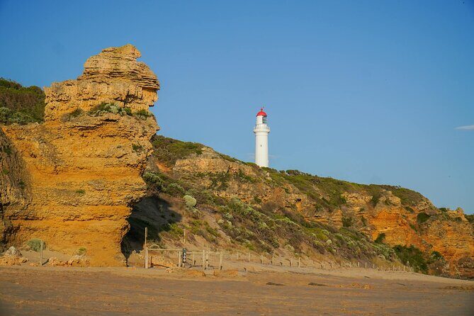 Scenic Great Ocean Road Discovery Tour - Iconic Coastal Wonders - Introducing the Great Ocean Road Discovery Tour