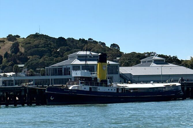 Scenic Harbour Cruise in Auckland - The Experience from the Reviewers’ Perspective