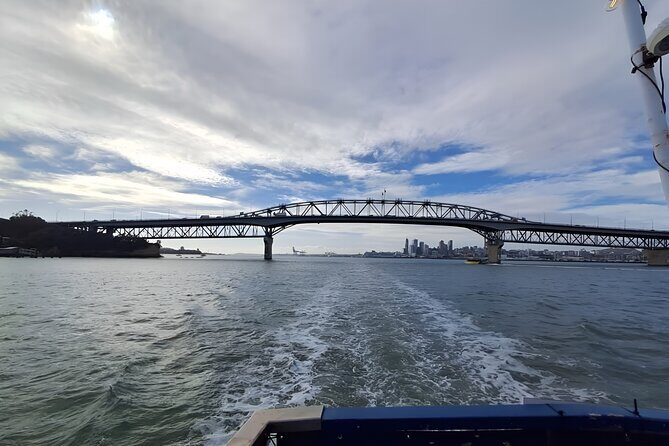 Scenic Harbour Cruise in Auckland - The Value of This Experience