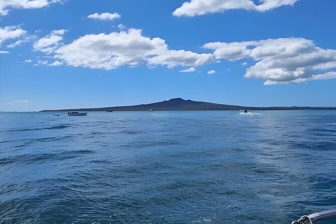 Scenic Harbour Cruise in Auckland - Who Will Enjoy This Cruise?