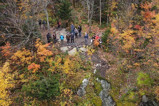 Scenic Hiking Adventure at Mont-Orford National Park - Introduction: Why This Tour Stands Out