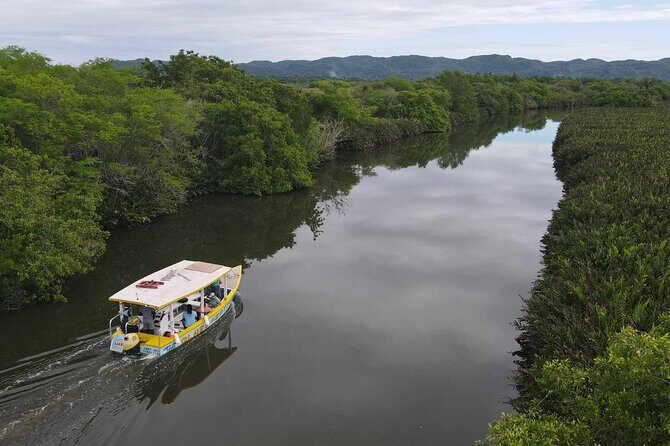 Scenic & Historical Nature Boat Safari Up the Negril River - Key Points