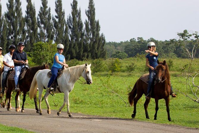 Scenic Horseback Riding Tour from San Juan - Detailed Review: What to Expect and Why It Matters