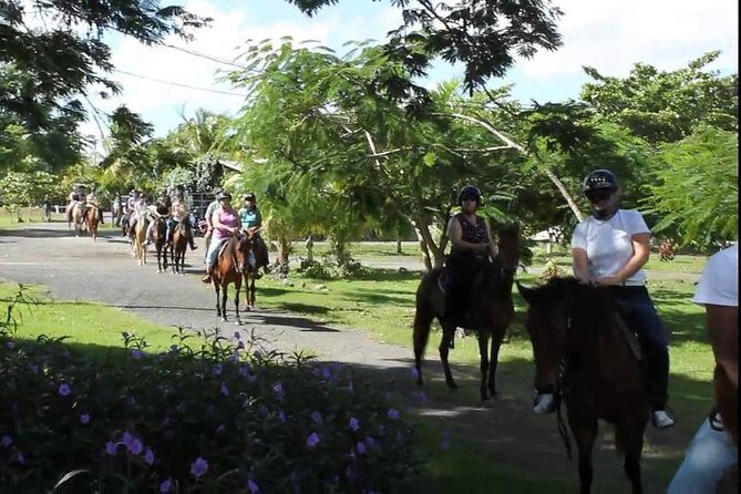 Scenic Horseback Riding Tour from San Juan - FAQ: Practical Questions About the Tour
