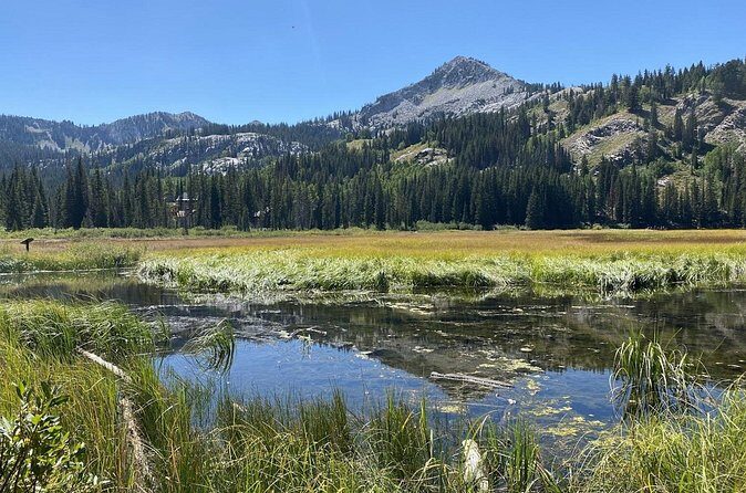 Scenic Park City Tour via Big Cottonwood Canyon - Final Thoughts: Who Is This Tour Best For?