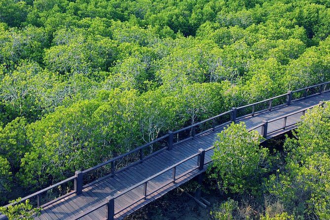 Scenic River Trip on the Pranburi River - An Introduction to the Pranburi River Scenic Trip