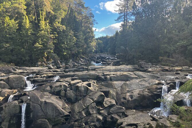 Scenic Short Hike Tour - Papamoa Hills and McLaren Falls - Discover Tauranga’s Natural Beauty with a Scenic Short Hike Tour
