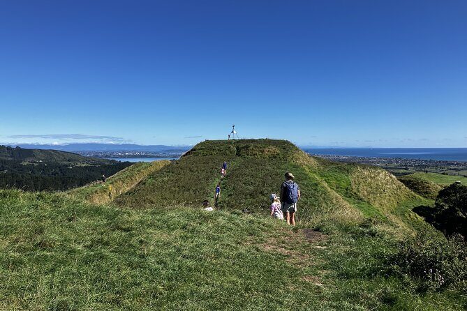 Scenic Short Hike Tour - Papamoa Hills and McLaren Falls - Why Travelers Rave About This Tour