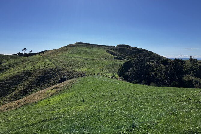 Scenic Short Hike Tour - Papamoa Hills and McLaren Falls - Analyzing the Value