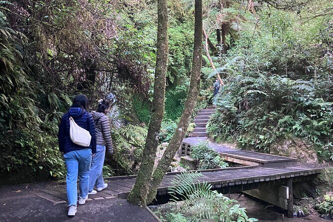 Scenic Short Hike Tour - Papamoa Hills and McLaren Falls - Who Should Consider This Tour?