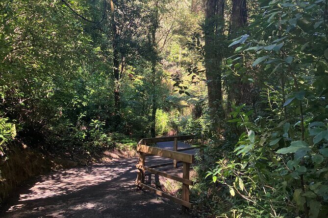 Scenic Short Hike Tour - Papamoa Hills and McLaren Falls - The Sum Up