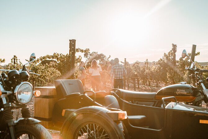 Scenic Sidecar Vineyard Tour Paso Robles - The Sum Up