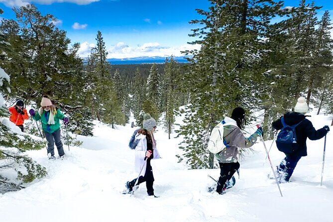 Scenic Snowshoe Adventure in South Lake Tahoe, CA - Why This Tour Offers Good Value