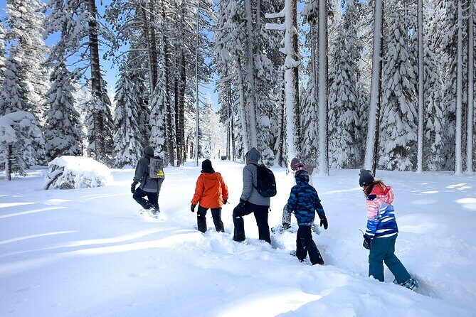 Scenic Snowshoe Adventure in South Lake Tahoe, CA - Final Thoughts: Is It Right for You?