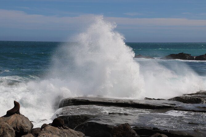 Scenic South Wairarapa Full Day Tour from Wellington - Starting with Wellington’s Landmarks