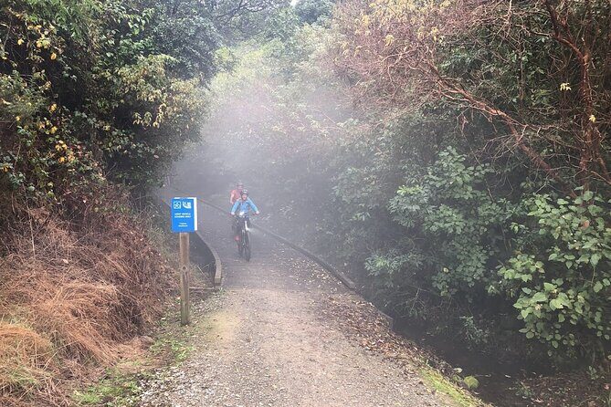 Scenic Spooners Tunnel Adventure in Nelson Tasman - Exploring the Scenic Spooners Tunnel Adventure in Nelson Tasman
