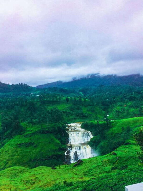 Scenic Sri Lanka 4-day tour - The Practicalities: What Does the Tour Cover and Cost?