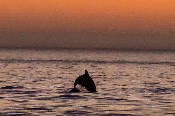 Scenic Sunset Cruise from Historic Johns Pass, Free Beer and Wine - The Sum Up: Who Should Book This Sunset Cruise?