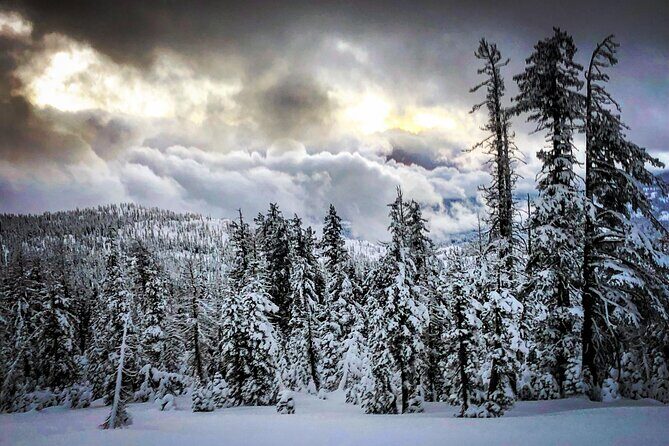 Scenic Sunset Snowshoe Tour - What We Like and What to Consider