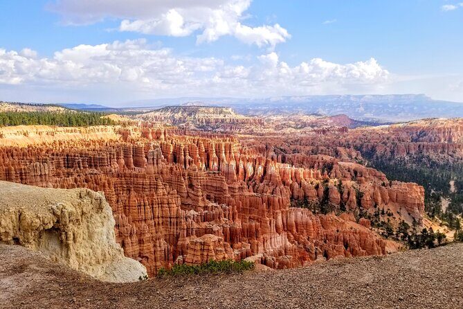 Scenic Tour of Bryce Canyon - Pricing and Value