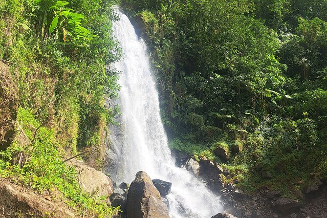 Scenic Tour of City and Rainforest, Waterfall, Sulphur Springs . - The Sum Up