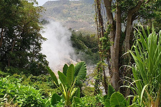 Scenic Tour of Soufriere - Who Will Love This Tour?