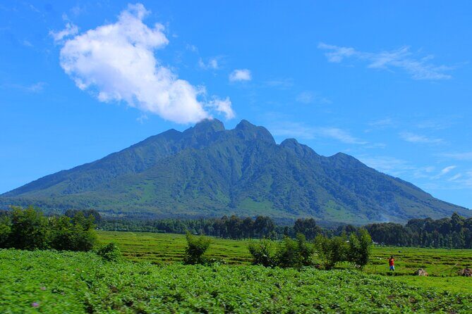 Scenic walk around volcanoes - The Sum Up