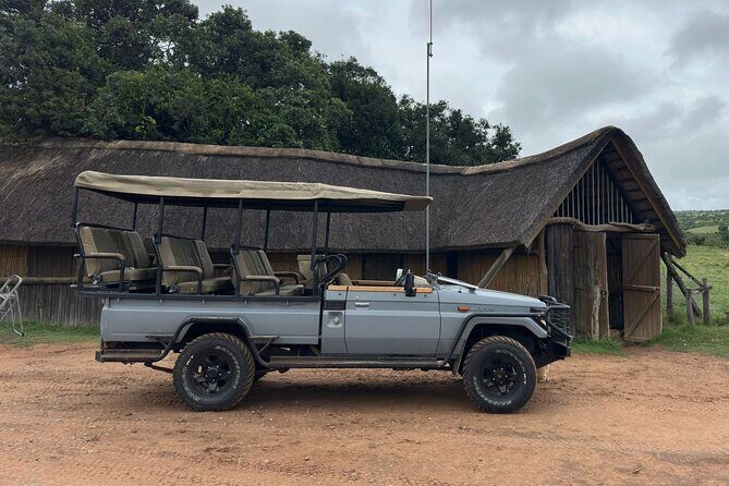 Schotia Game Reserve Tour with Port Pickup, Next to Addo Park - A Closer Look at the Tour Experience