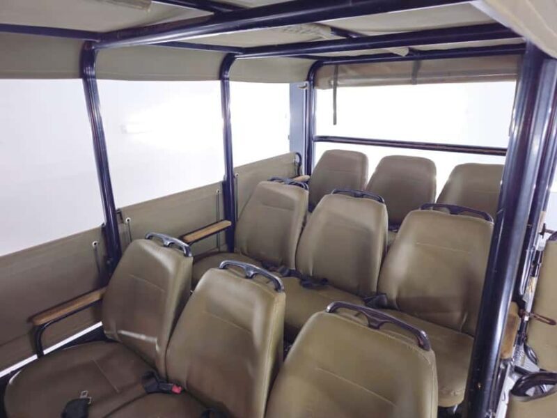 Schotia: Open Safari Jeep - Full Day Safari with Lunch - An In-Depth Look at the Schotia Safari Experience