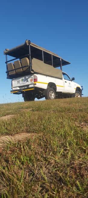 Schotia: Open Safari Jeep - Full Day Safari with Lunch - In The Sum Up