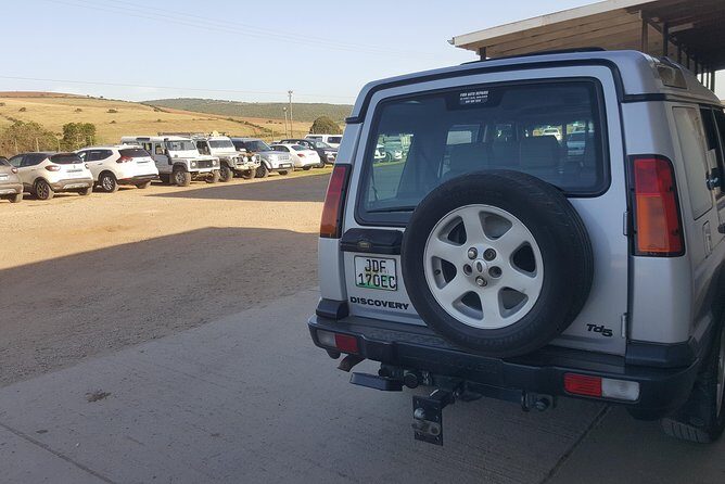 Schotia open vehicle safari game drive maximum 10 pax - Authenticity and Value: What Sets This Safari Apart