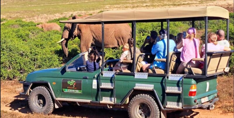 Schotia Safaris: Best Wildlife Encounters in Port Elizabeth - An Authentic African Safari Near Port Elizabeth