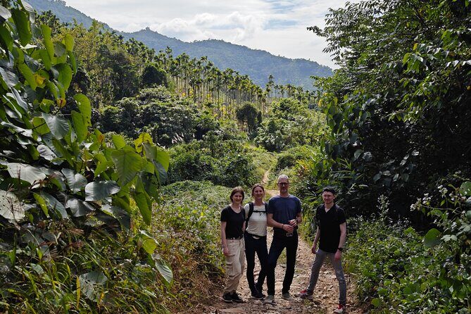scooter and hiking trip in the rainforest - A Detailed Look at the Sanya Rainforest Scooter and Hiking Tour