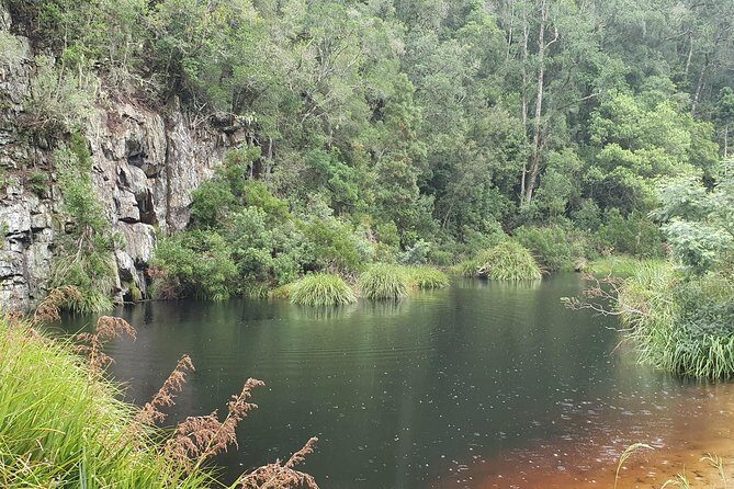 Scooter Tours through Tsitsikamma National Park - Who Is This Tour Best For?