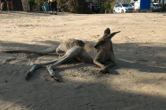 Scooter Wildlife & Sunset Tour - The Value of the Tour