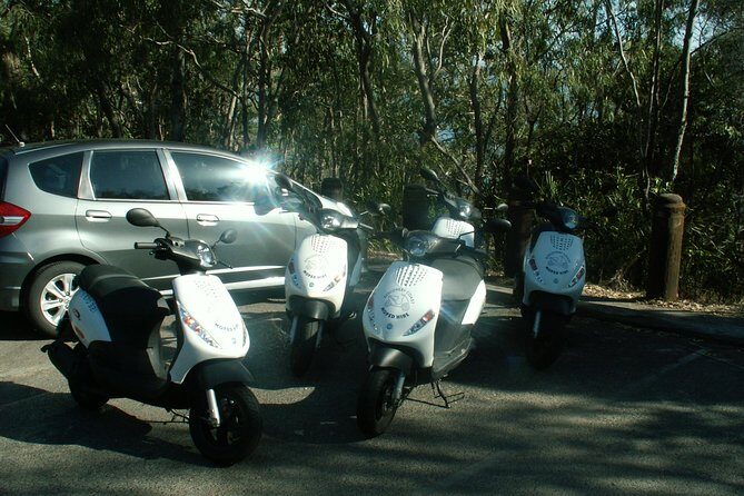Scooter Wildlife & Sunset Tour - Who Should Book This Tour?